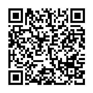 Link to your fundraiser QRCode - Fundraising
