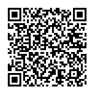 Link to your fundraiser QRCode - Fundraising
