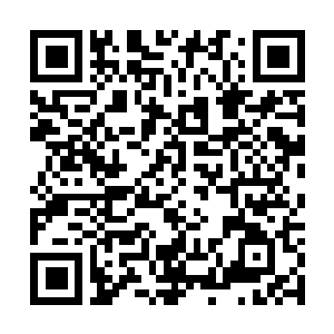 Link to your fundraiser QRCode - Fundraising