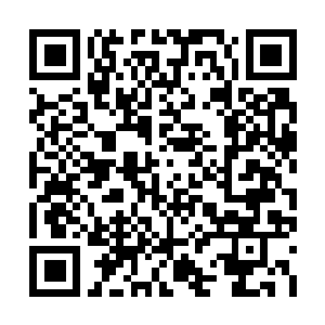 Link to your fundraiser QRCode - Fundraising