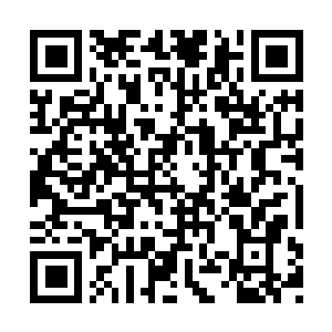 Link to your fundraiser QRCode - Fundraising