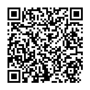 Link to your fundraiser QRCode - Fundraising