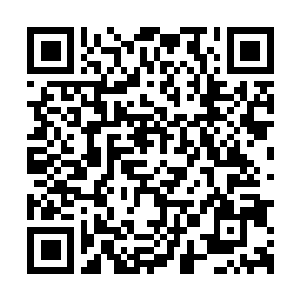 Link to your fundraiser QRCode - Fundraising