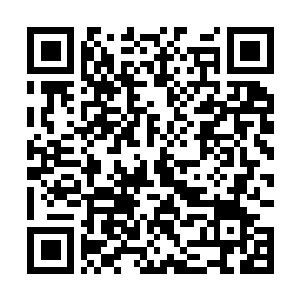 Link to your fundraiser QRCode - Fundraising