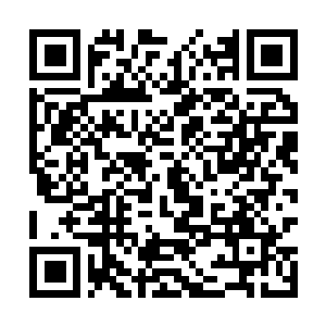 Link to your fundraiser QRCode - Fundraising