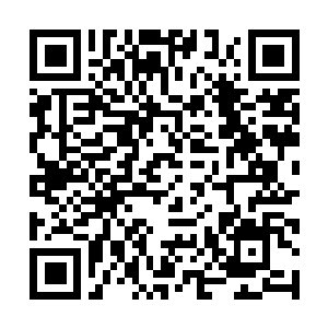 Link to your fundraiser QRCode - Fundraising