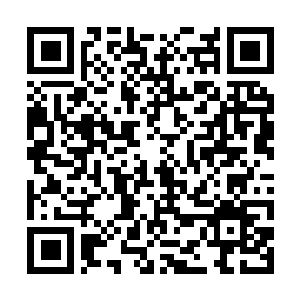 Link to your fundraiser QRCode - Fundraising