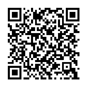 Link to your fundraiser QRCode - Fundraising