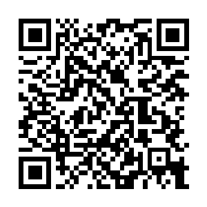 Link to your fundraiser QRCode - Fundraising
