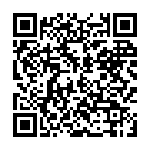 Link to your fundraiser QRCode - Fundraising