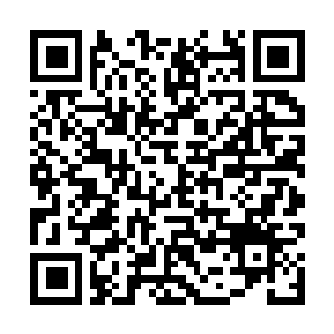 Link to your fundraiser QRCode - Fundraising