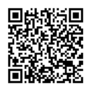 Link to your fundraiser QRCode - Fundraising