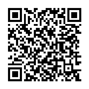 Link to your fundraiser QRCode - Fundraising