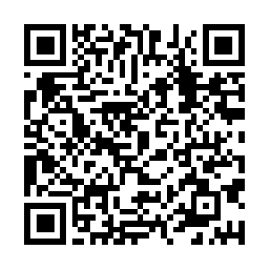Link to your fundraiser QRCode - Fundraising