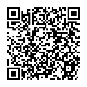 Link to your fundraiser QRCode - Fundraising