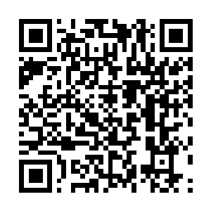 Link to your fundraiser QRCode - Fundraising