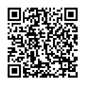 Link to your fundraiser QRCode - Fundraising
