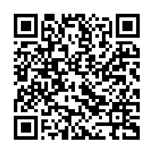 Link to your fundraiser QRCode - Fundraising