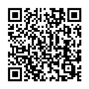Link to your fundraiser QRCode - Fundraising