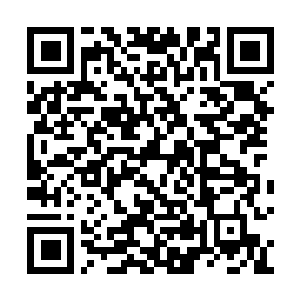 Link to your fundraiser QRCode - Fundraising
