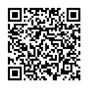 Link to your fundraiser QRCode - Fundraising