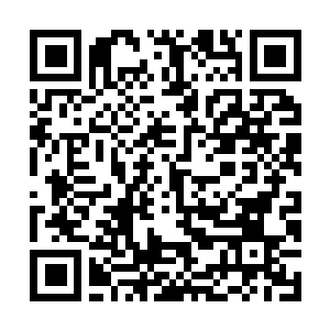 Link to your fundraiser QRCode - Fundraising