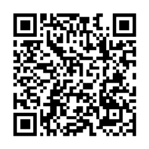 Link to your fundraiser QRCode - Fundraising