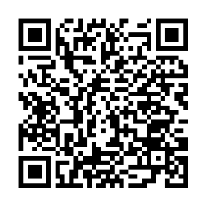 Link to your fundraiser QRCode - Fundraising