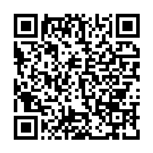 Link to your fundraiser QRCode - Fundraising