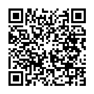 Link to your fundraiser QRCode - Fundraising