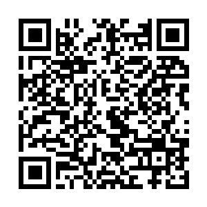 Link to your fundraiser QRCode - Fundraising