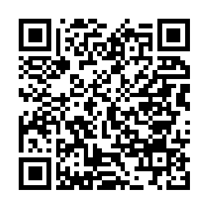 Link to your fundraiser QRCode - Fundraising