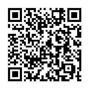 Link to your fundraiser QRCode - Fundraising
