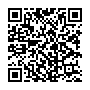 Link to your fundraiser QRCode - Fundraising