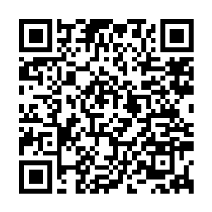 Link to your fundraiser QRCode - Fundraising