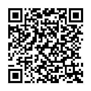 Link to your fundraiser QRCode - Fundraising
