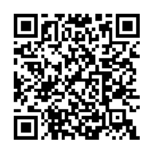 Link to your fundraiser QRCode - Fundraising