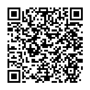 Link to your fundraiser QRCode - Fundraising