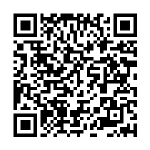 Link to your fundraiser QRCode - Fundraising