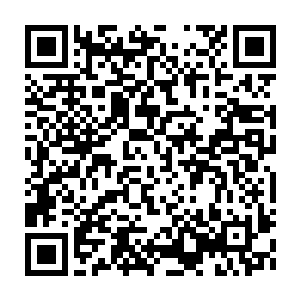 Link to your fundraiser QRCode - Fundraising