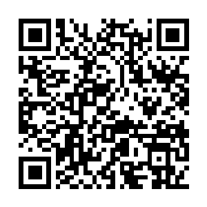 Link to your fundraiser QRCode - Fundraising