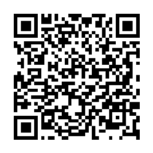 Link to your fundraiser QRCode - Fundraising