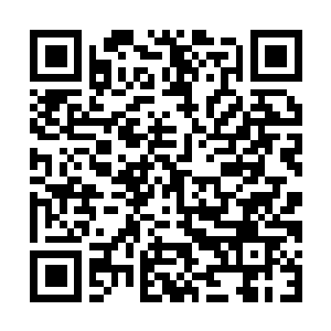 Link to your fundraiser QRCode - Fundraising