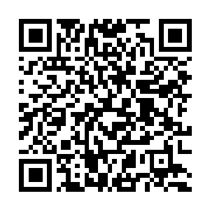 Link to your fundraiser QRCode - Fundraising