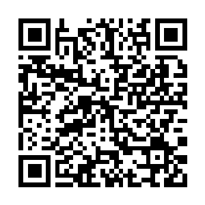 Link to your fundraiser QRCode - Fundraising