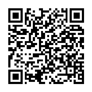 Link to your fundraiser QRCode - Fundraising