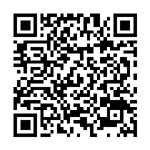 Link to your fundraiser QRCode - Fundraising