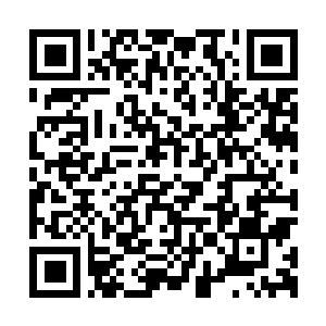 Link to your fundraiser QRCode - Fundraising
