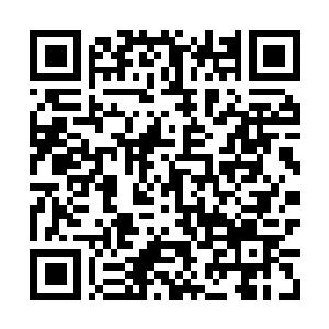 Link to your fundraiser QRCode - Fundraising