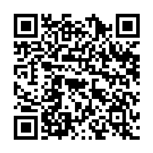 Link to your fundraiser QRCode - Fundraising